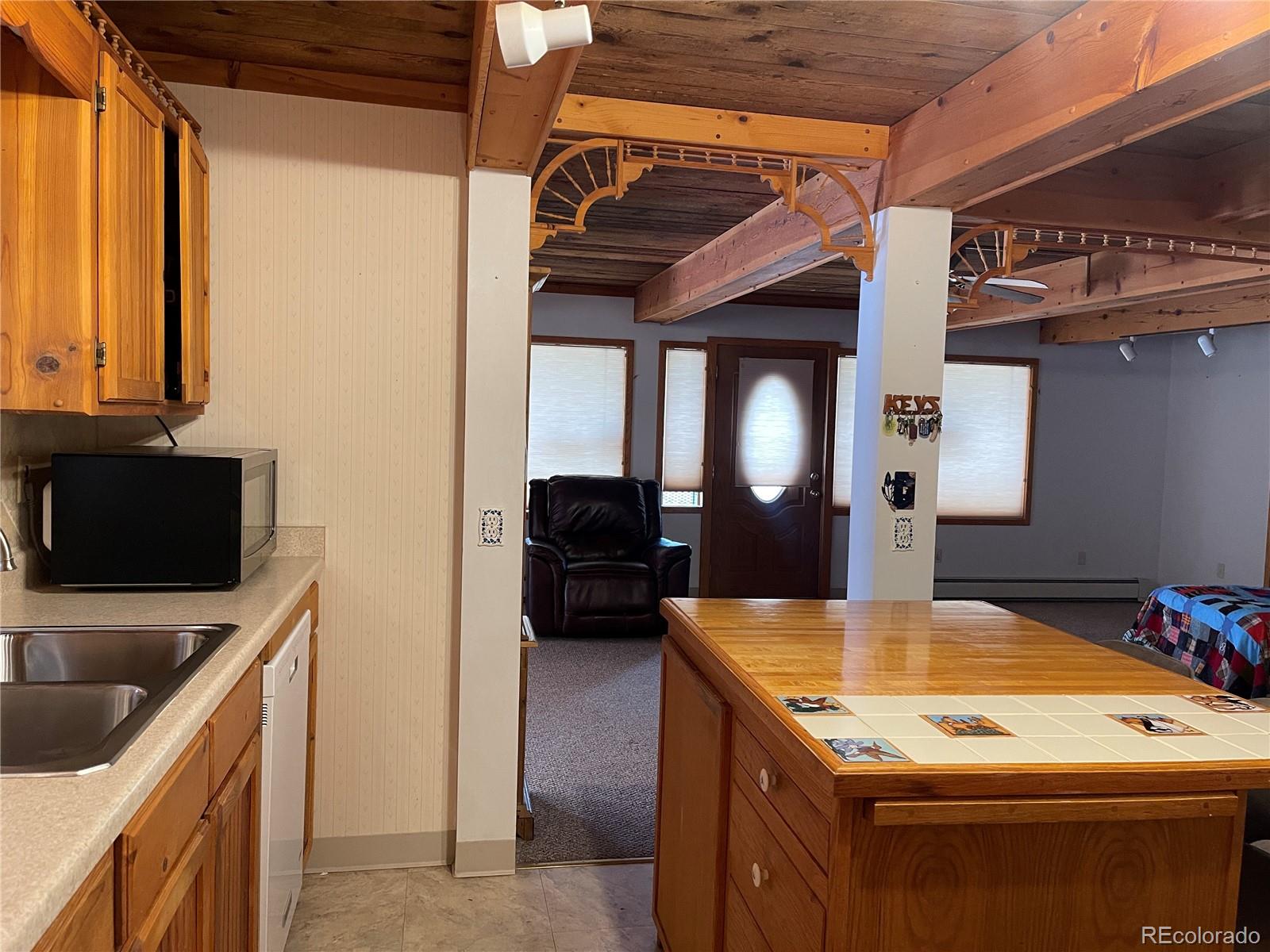 MLS Image #30 for 60  pawnee path,lake george, Colorado