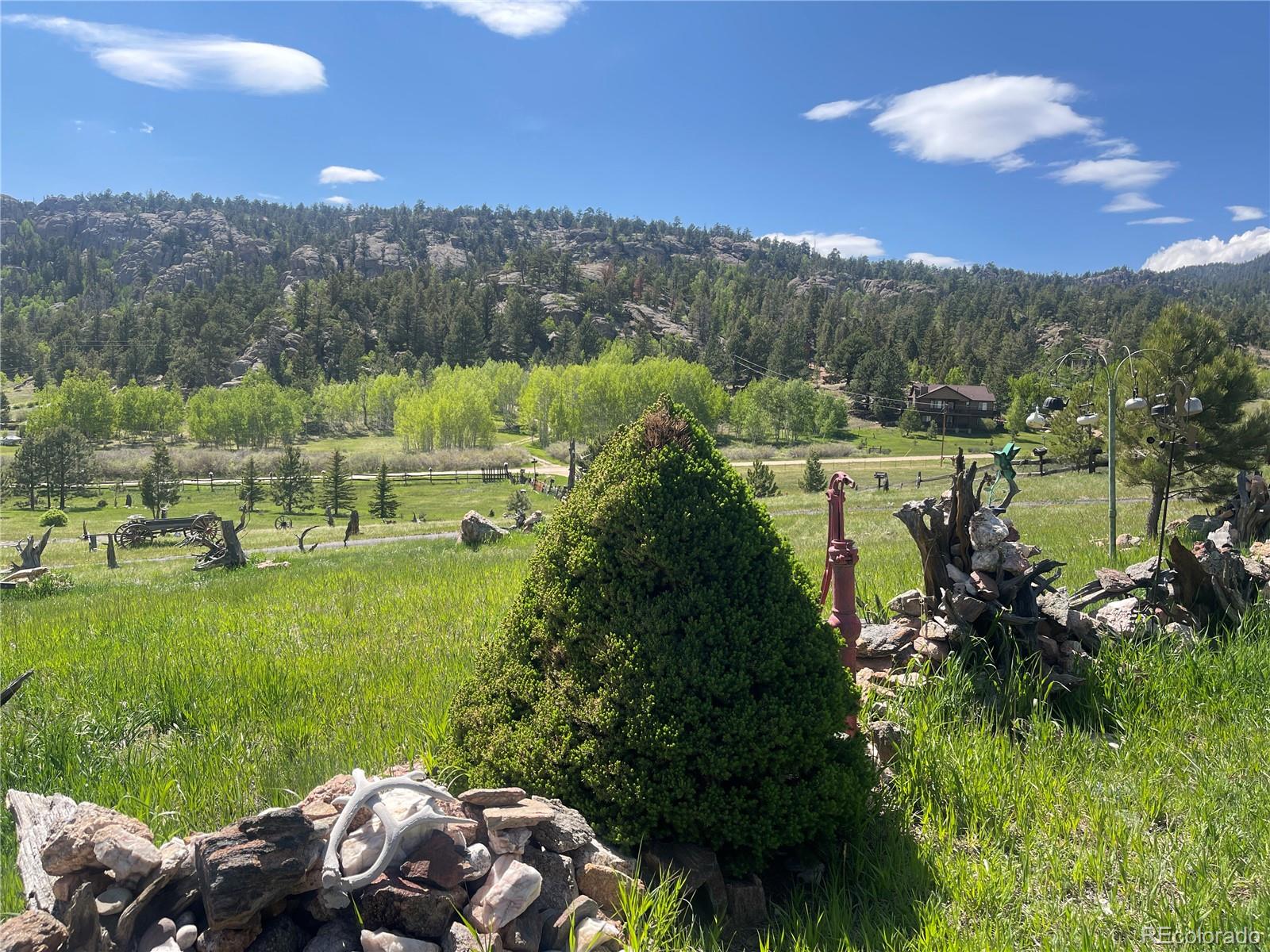 MLS Image #4 for 60  pawnee path,lake george, Colorado