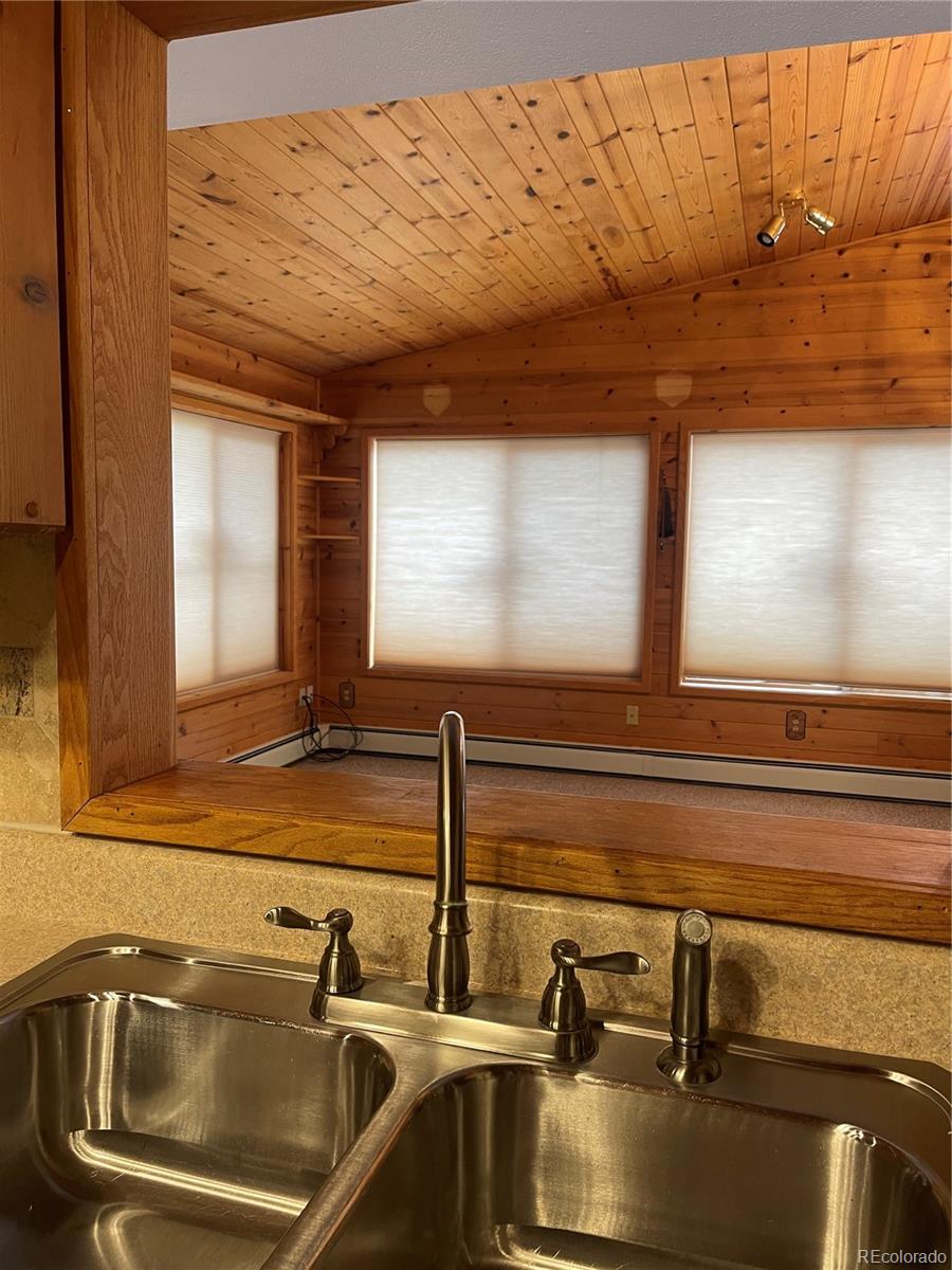 MLS Image #40 for 60  pawnee path,lake george, Colorado