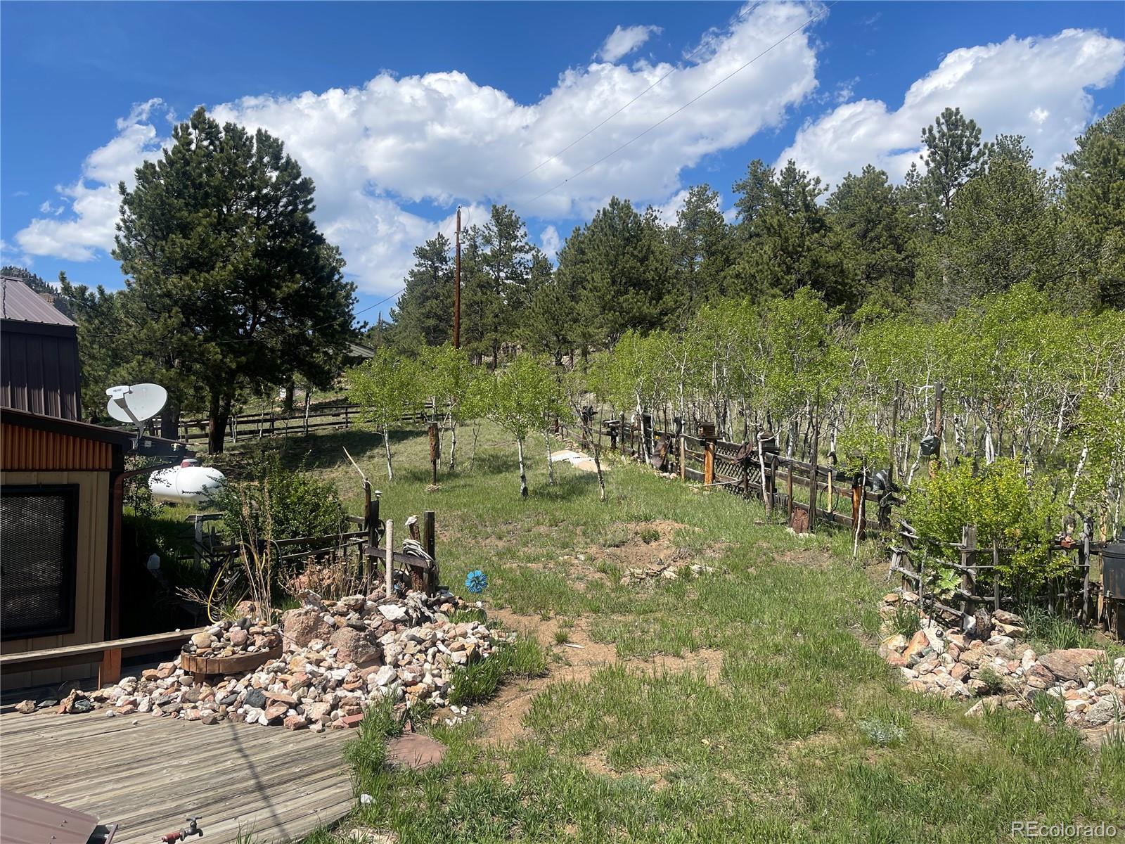 MLS Image #6 for 60  pawnee path,lake george, Colorado