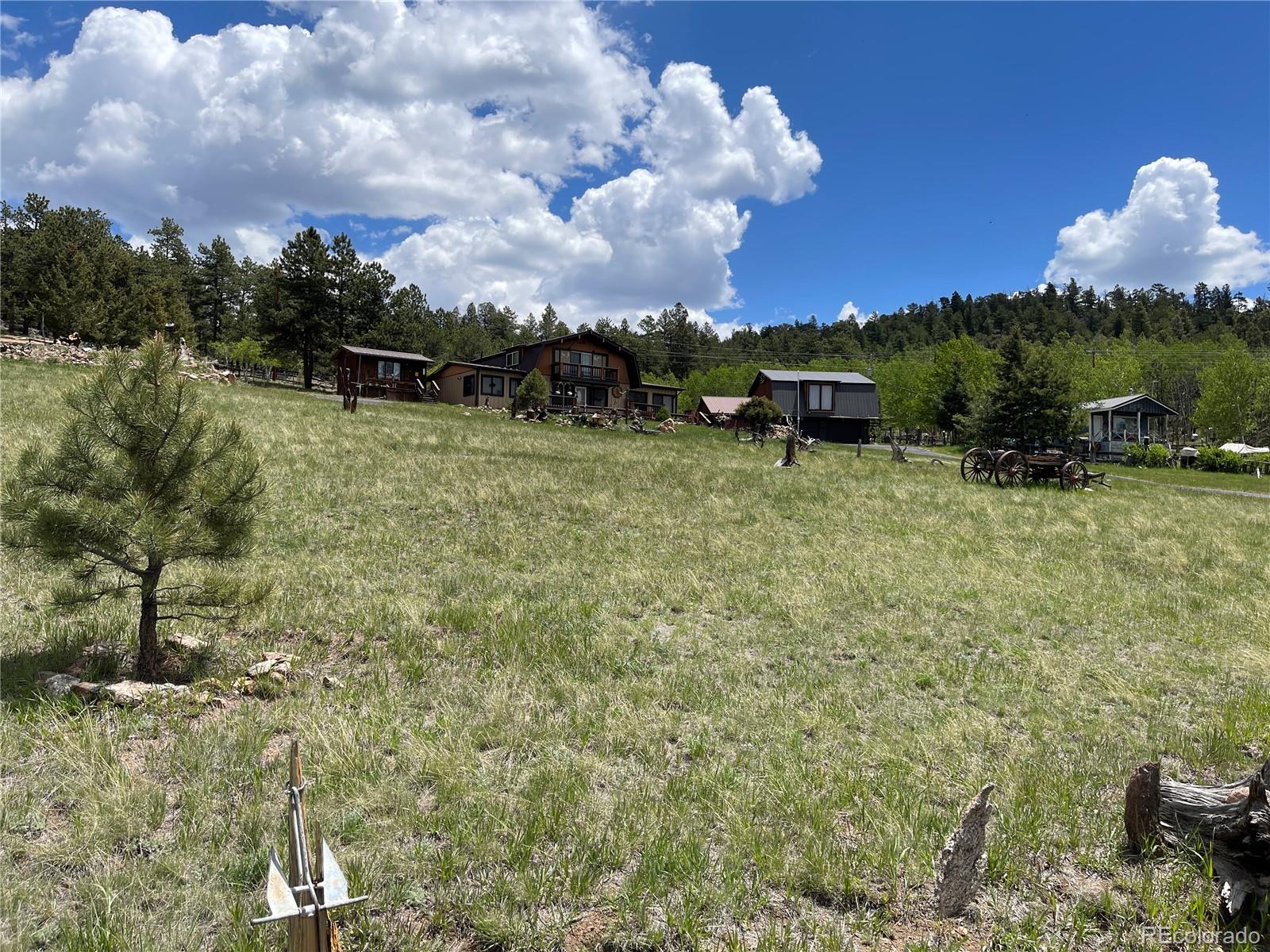 MLS Image #8 for 60  pawnee path,lake george, Colorado