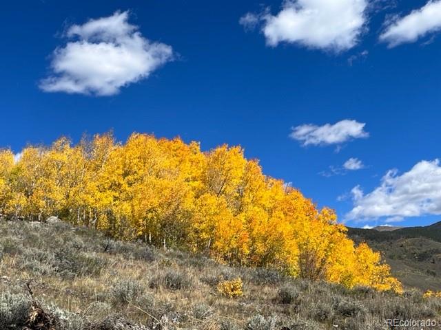 MLS Image #1 for 403  j road,silverthorne, Colorado