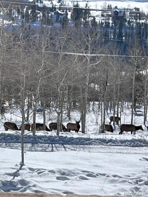MLS Image #5 for 403  j road,silverthorne, Colorado