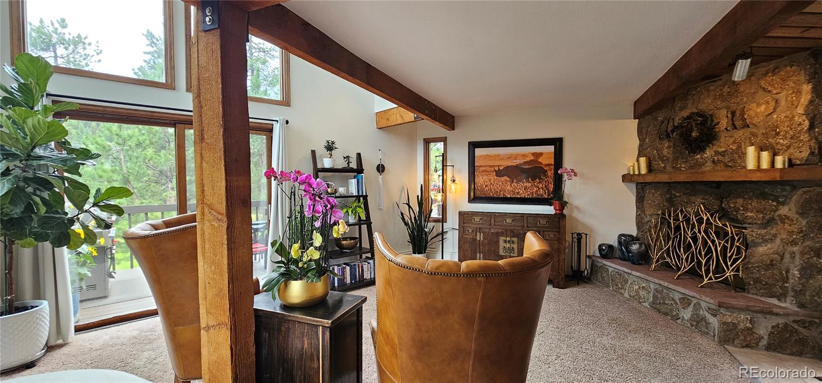 MLS Image #10 for 27901  pine drive,evergreen, Colorado