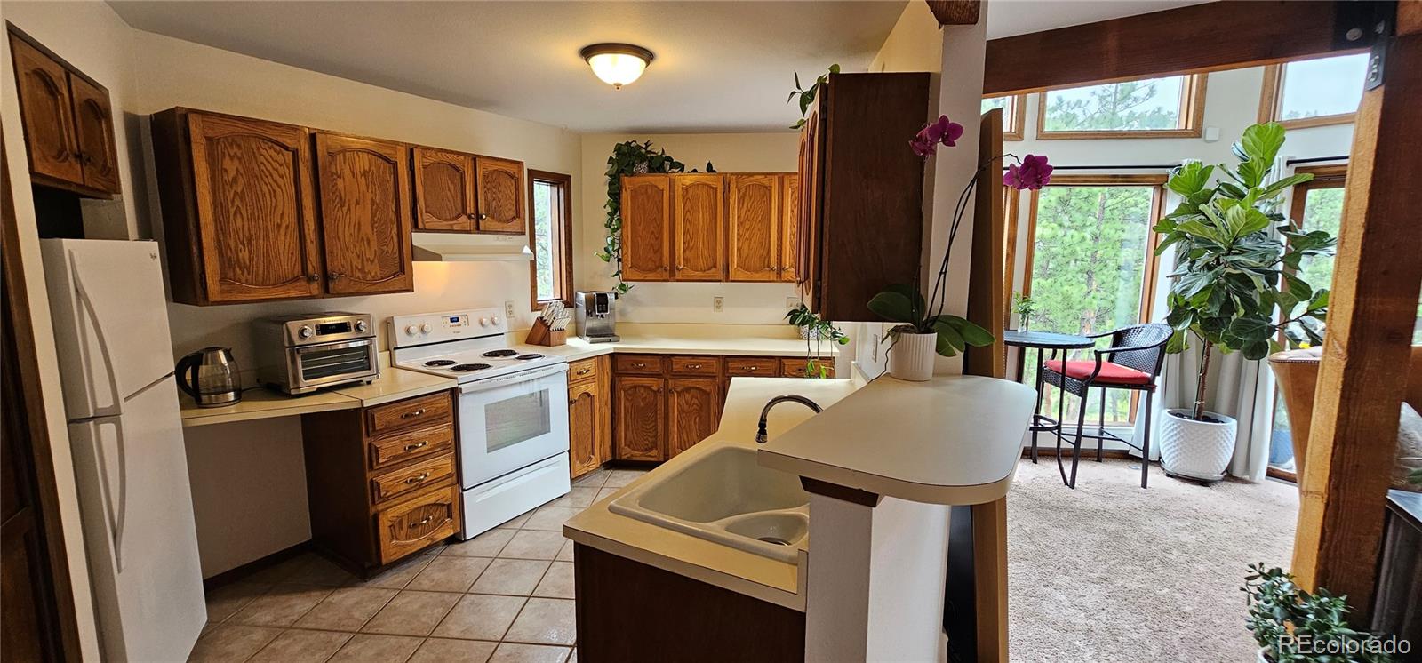 MLS Image #11 for 27901  pine drive,evergreen, Colorado