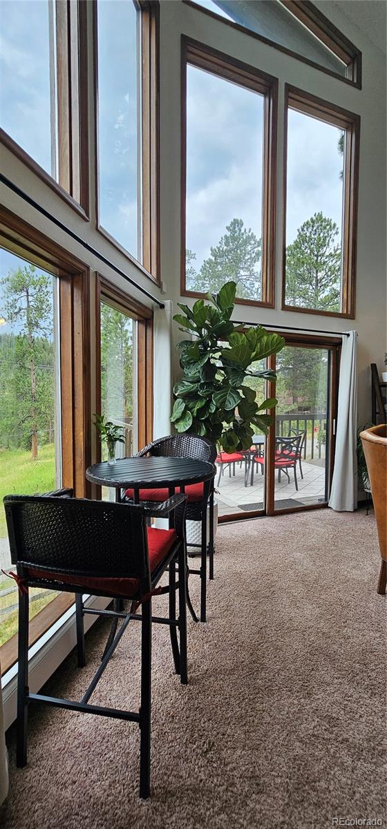 MLS Image #12 for 27901  pine drive,evergreen, Colorado