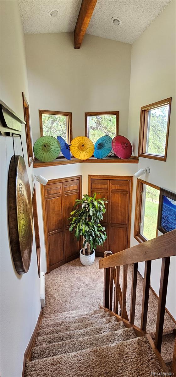 MLS Image #13 for 27901  pine drive,evergreen, Colorado