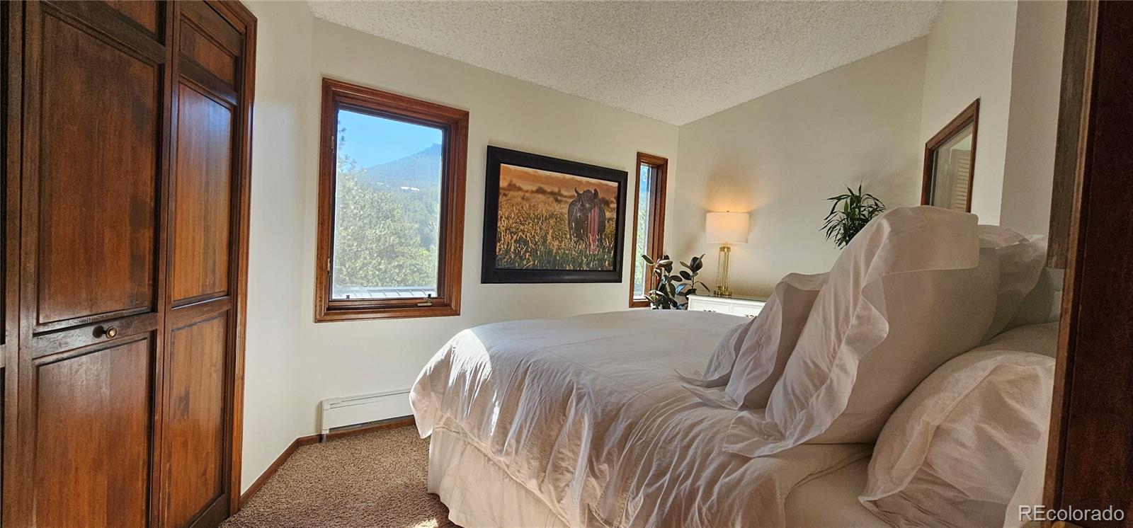 MLS Image #15 for 27901  pine drive,evergreen, Colorado