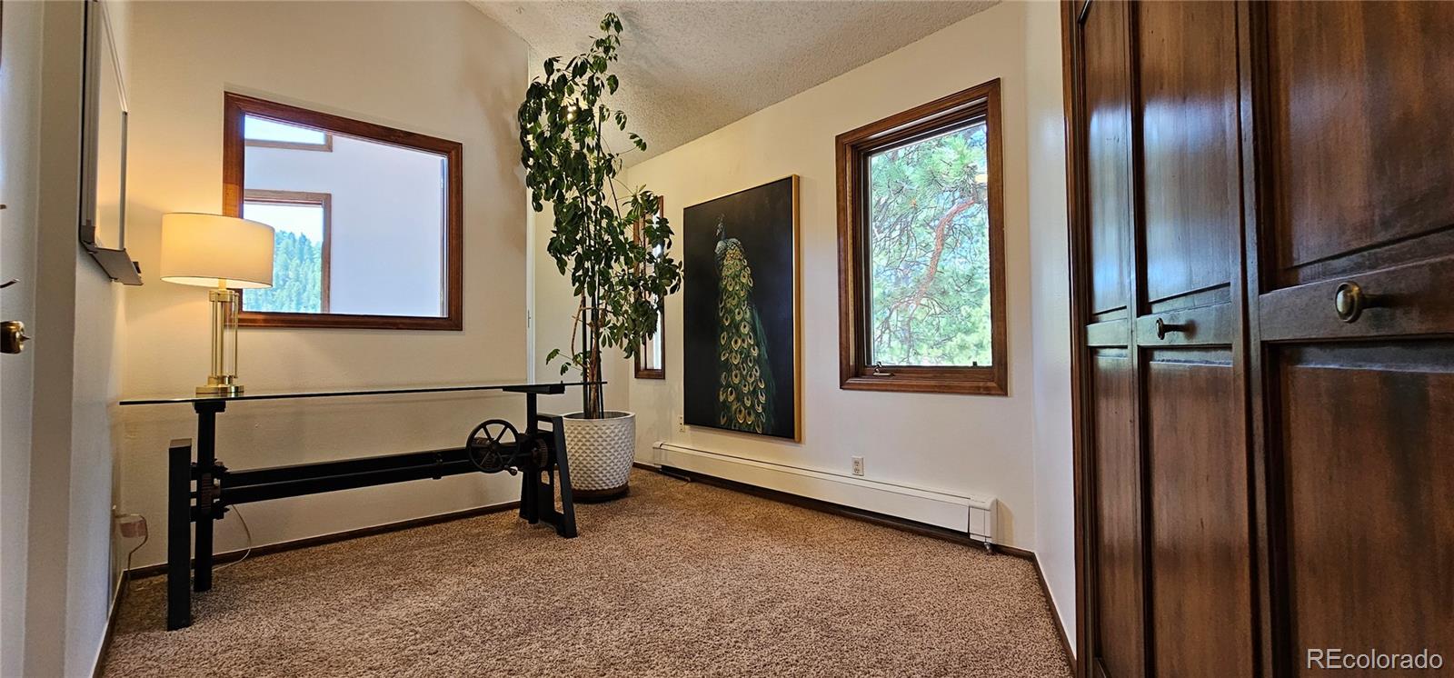 MLS Image #16 for 27901  pine drive,evergreen, Colorado