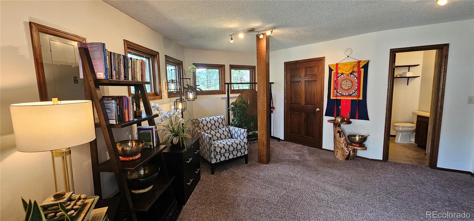 MLS Image #18 for 27901  pine drive,evergreen, Colorado