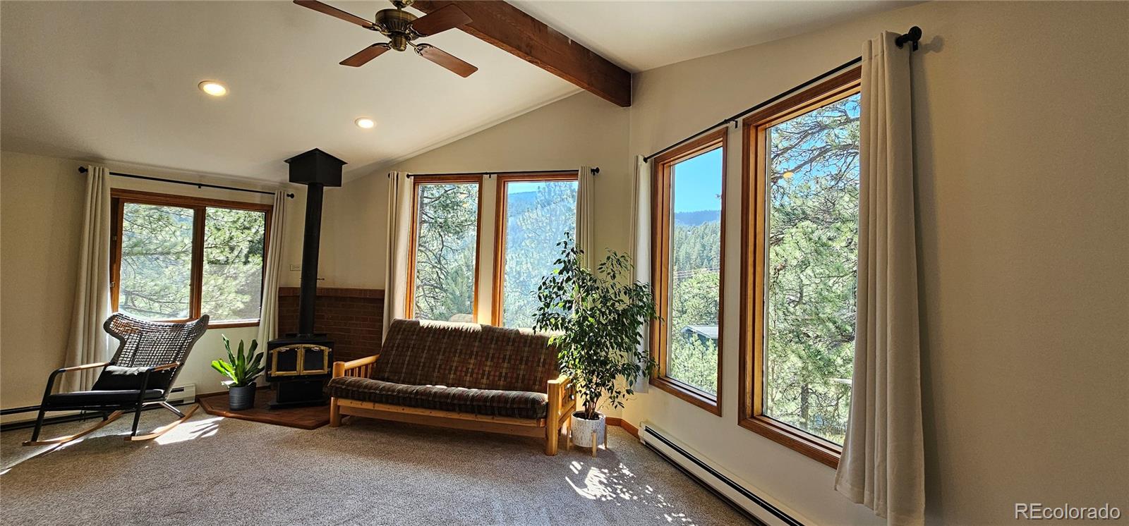 MLS Image #20 for 27901  pine drive,evergreen, Colorado