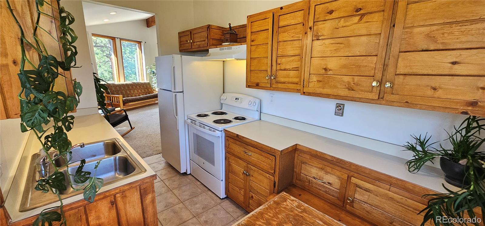 MLS Image #22 for 27901  pine drive,evergreen, Colorado