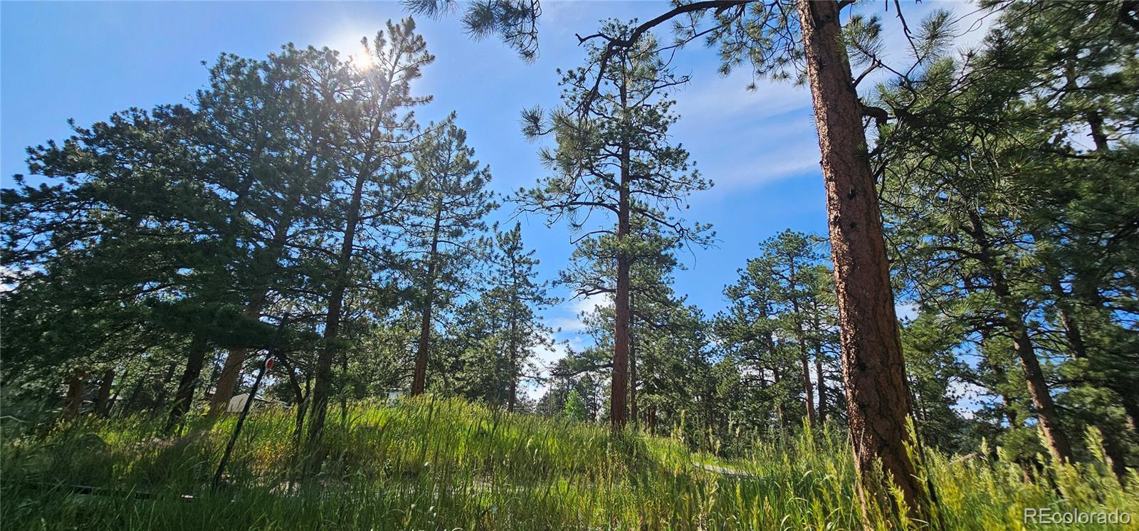 MLS Image #26 for 27901  pine drive,evergreen, Colorado
