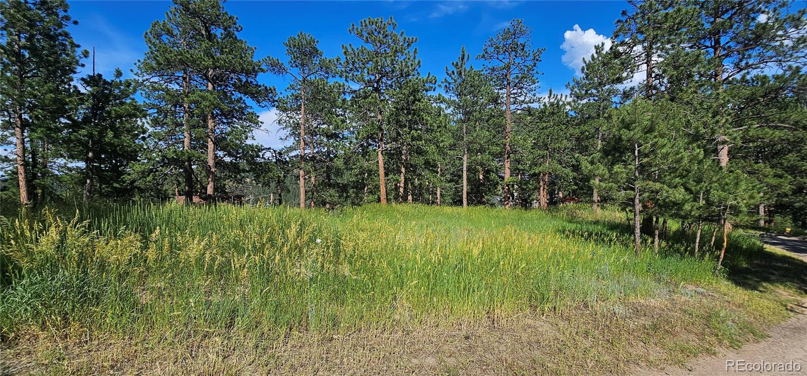 MLS Image #4 for 27901  pine drive,evergreen, Colorado