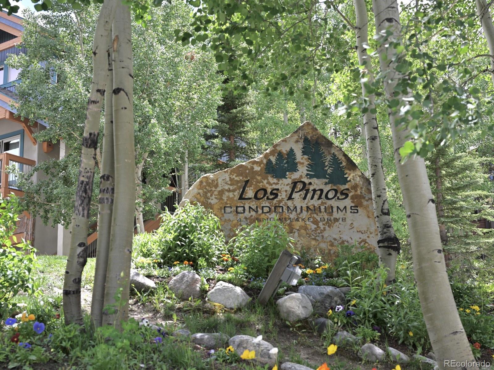 MLS Image #31 for 043  snowflake drive,breckenridge, Colorado