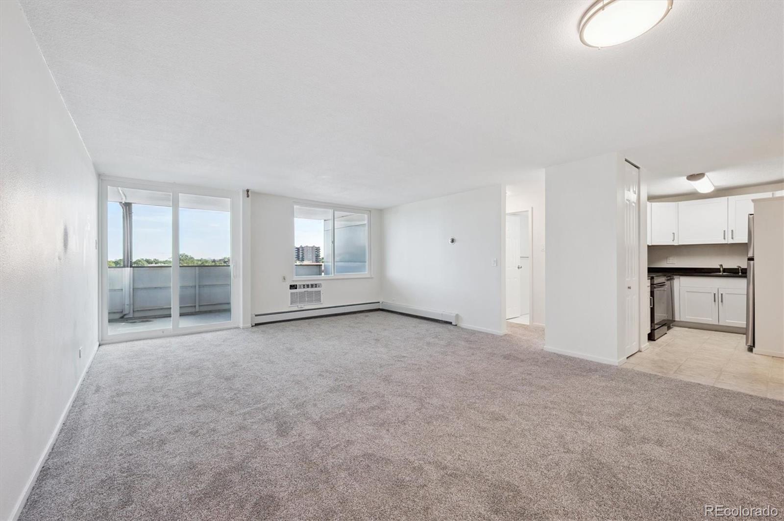 MLS Image #8 for 1029 e 8th avenue,denver, Colorado