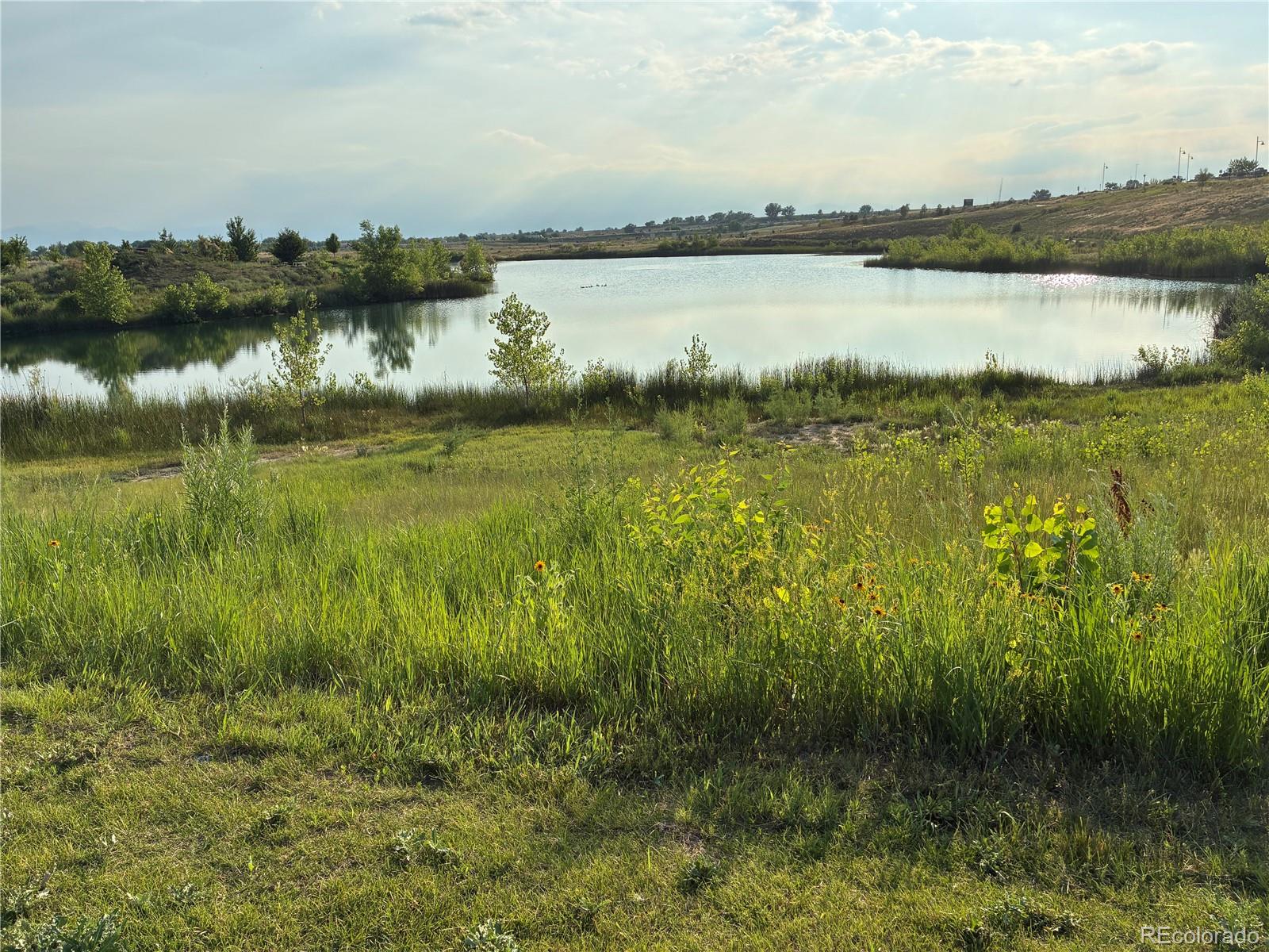 MLS Image #36 for 4562 n bend way,longmont, Colorado