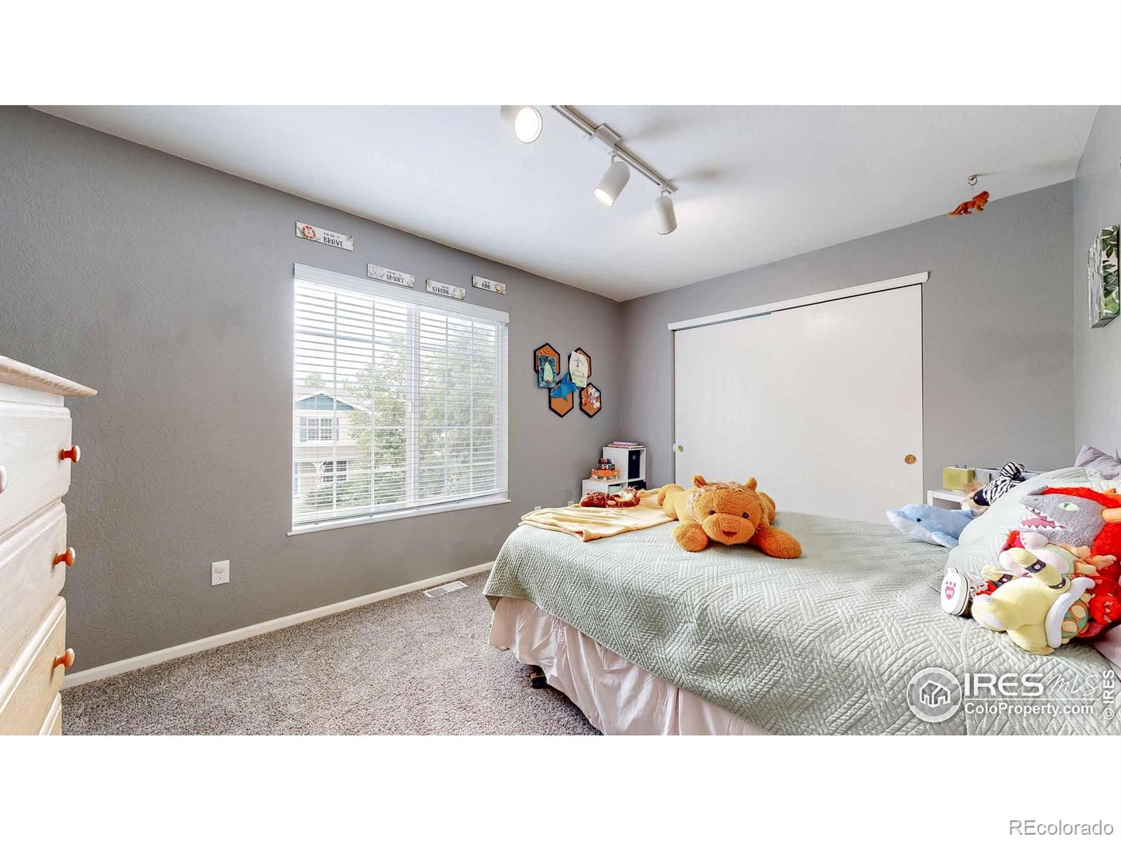 MLS Image #19 for 821  benson lane,fort collins, Colorado