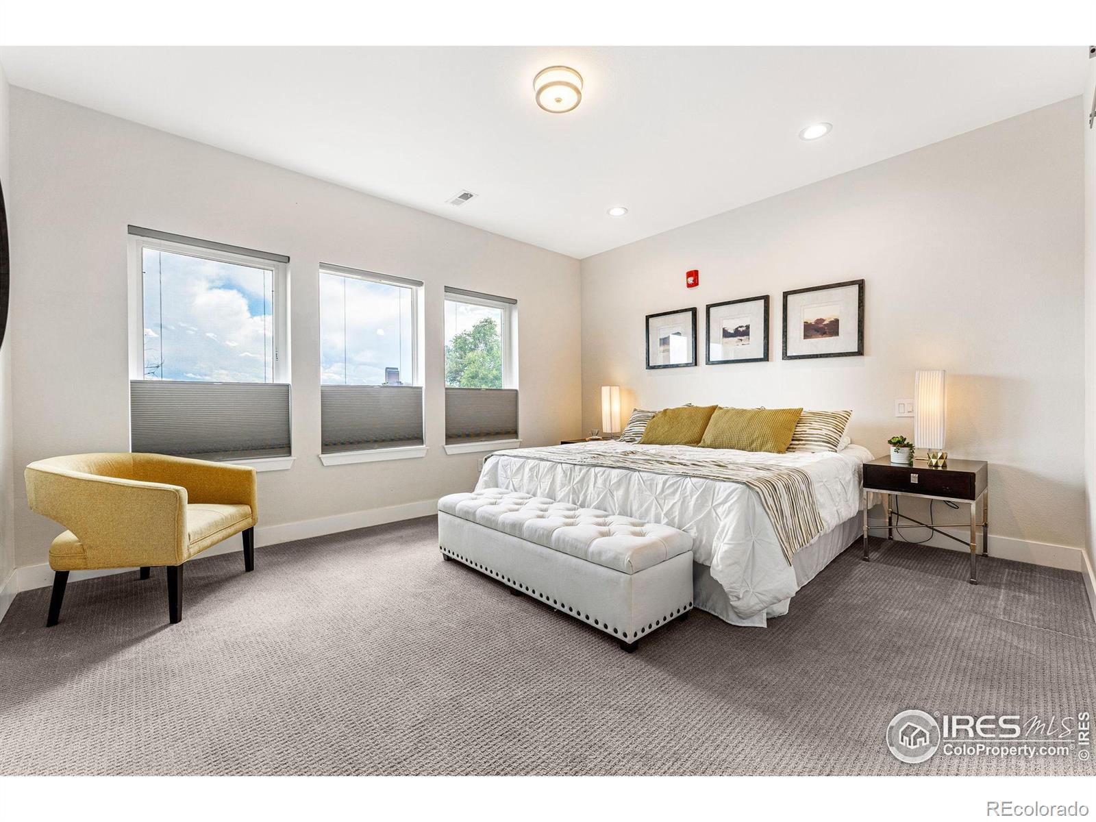 MLS Image #13 for 3450 n downing street,denver, Colorado