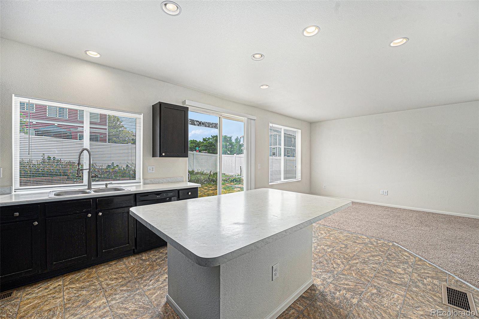 MLS Image #8 for 5550  malta street,denver, Colorado