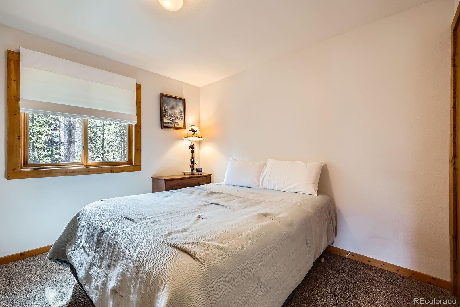 MLS Image #11 for 513  vail circle,dillon, Colorado
