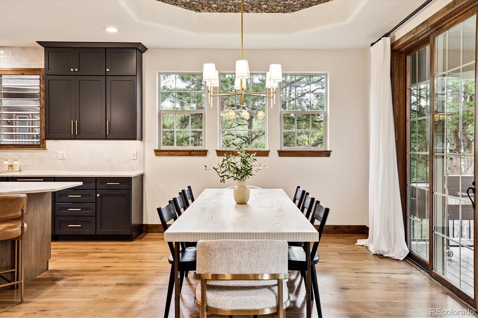 MLS Image #10 for 679  cumberland road,larkspur, Colorado