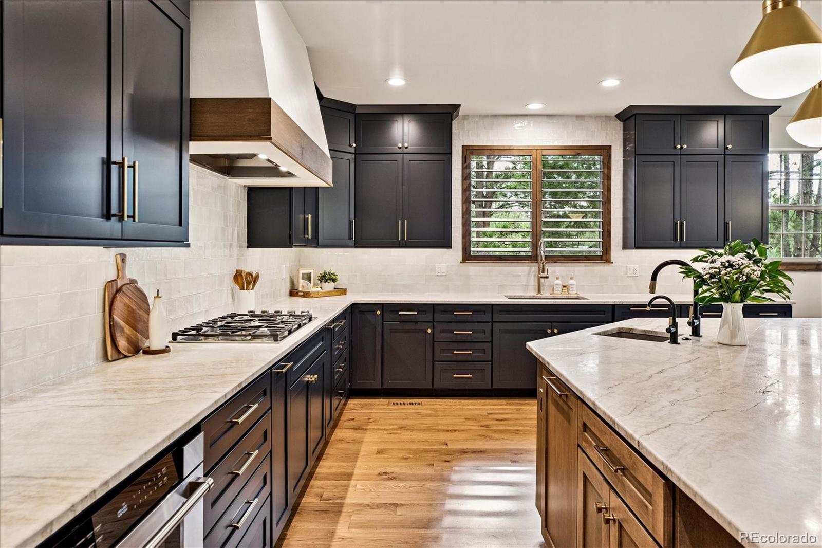 MLS Image #9 for 679  cumberland road,larkspur, Colorado