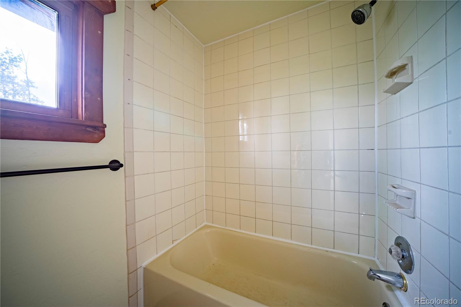 MLS Image #11 for 326  canthook lane,fairplay, Colorado