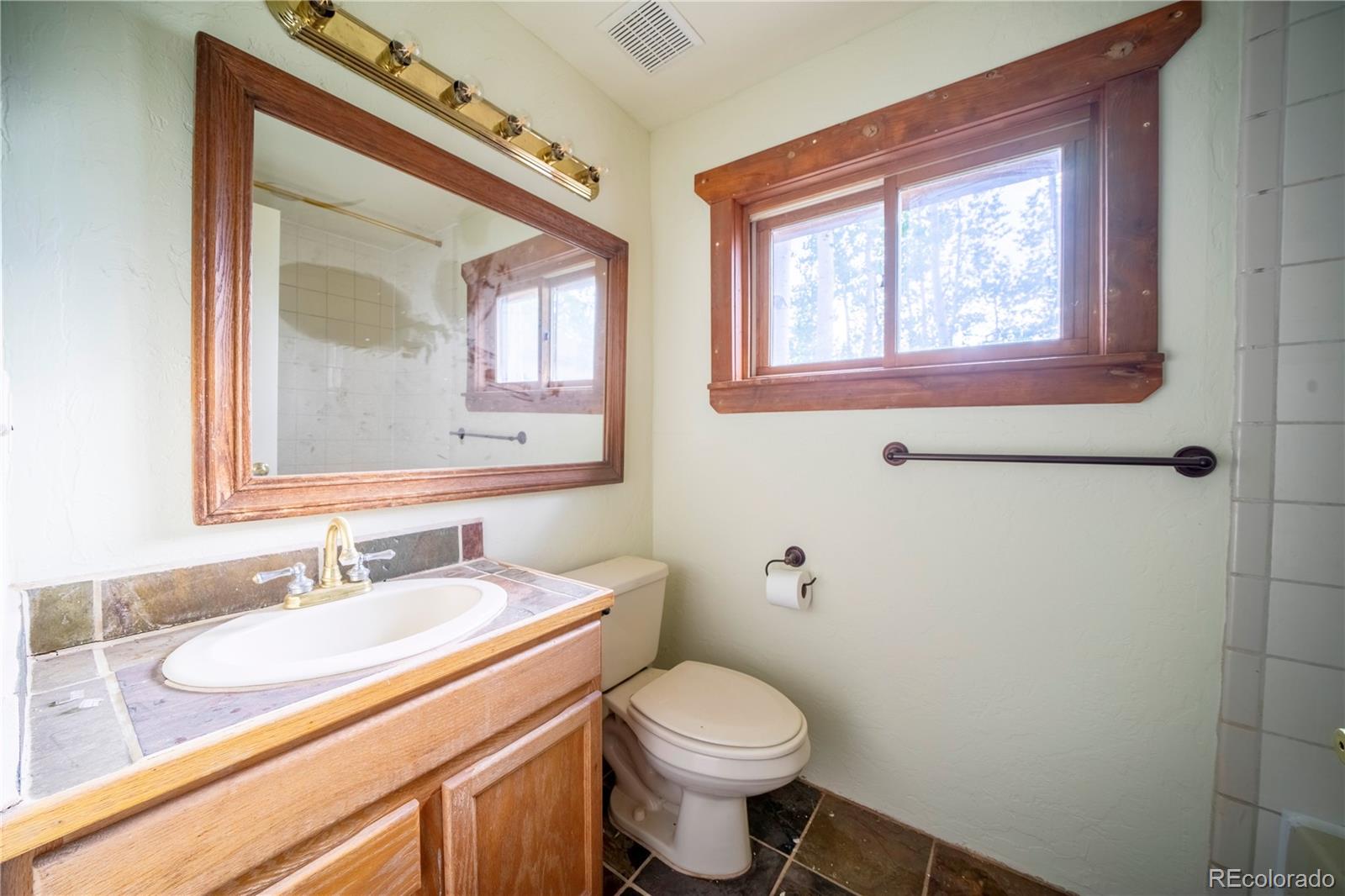 MLS Image #12 for 326  canthook lane,fairplay, Colorado