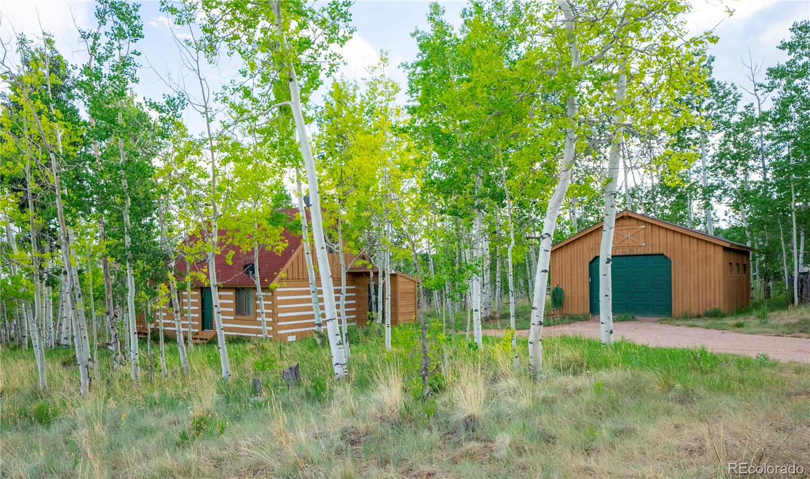 MLS Image #2 for 326  canthook lane,fairplay, Colorado