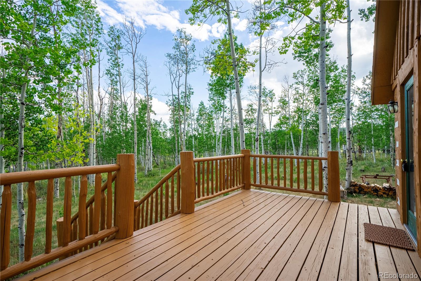MLS Image #3 for 326  canthook lane,fairplay, Colorado