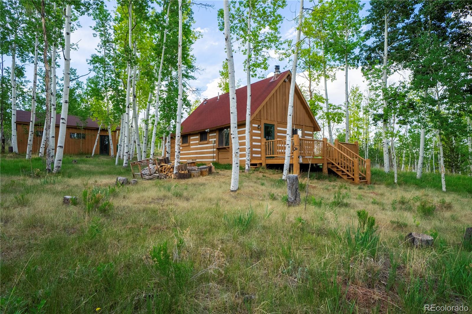 MLS Image #4 for 326  canthook lane,fairplay, Colorado