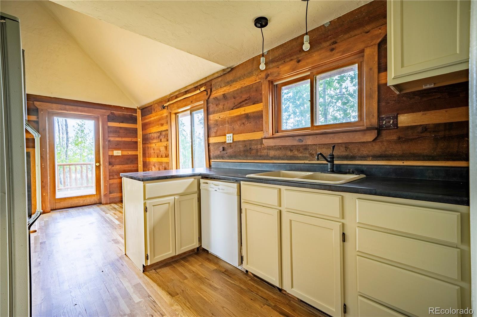 MLS Image #7 for 326  canthook lane,fairplay, Colorado