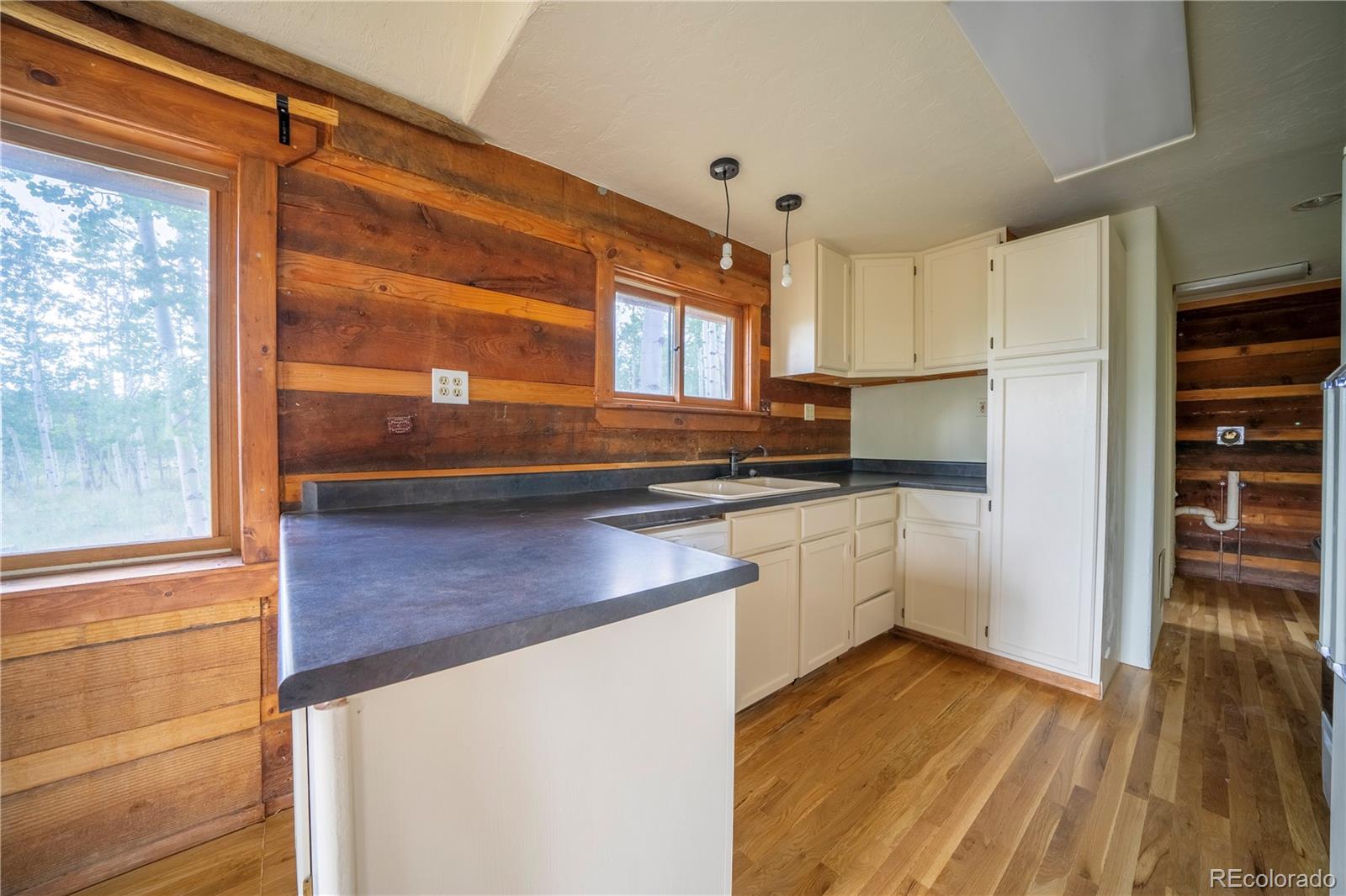 MLS Image #8 for 326  canthook lane,fairplay, Colorado