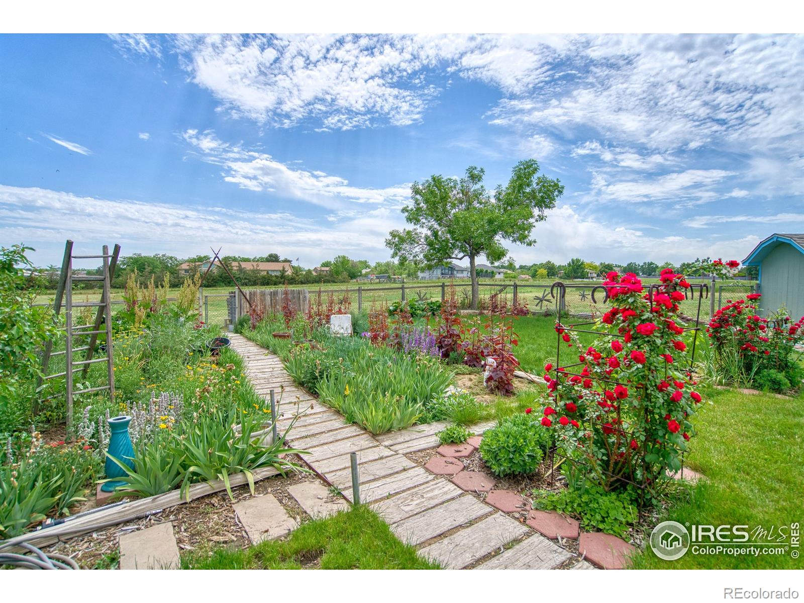 MLS Image #33 for 13748  downing street,brighton, Colorado