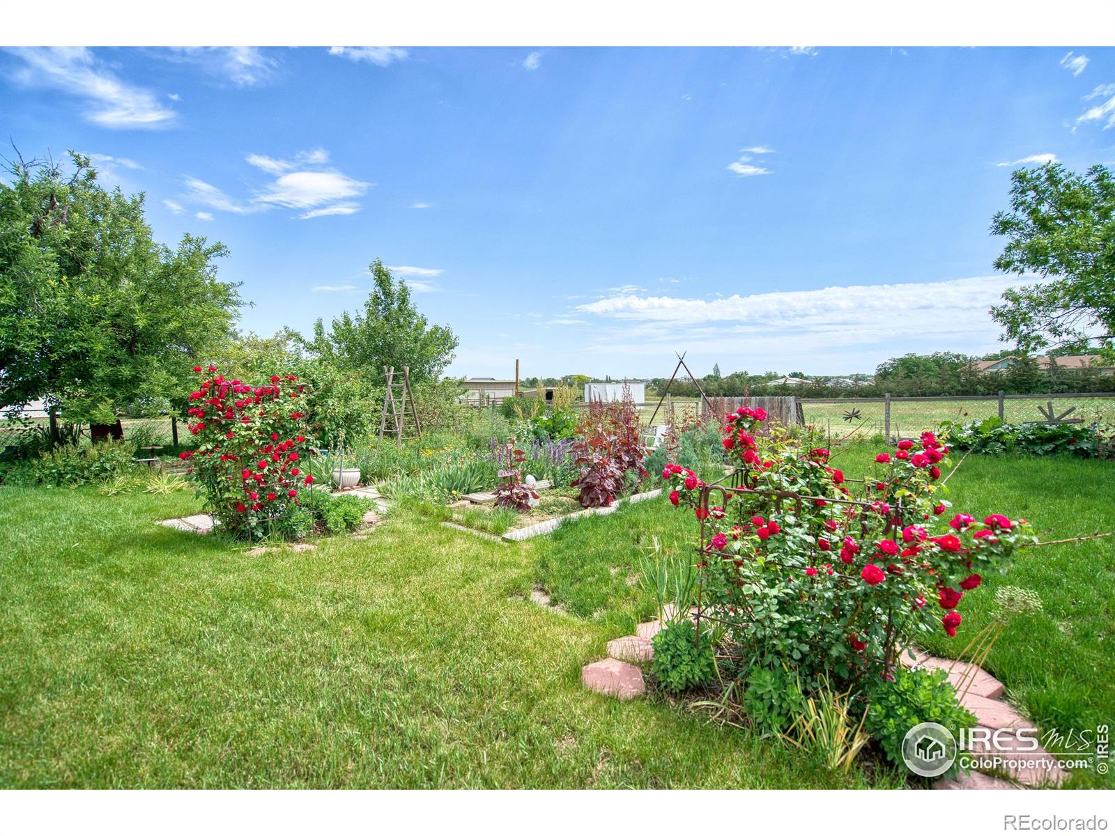 MLS Image #34 for 13748  downing street,brighton, Colorado