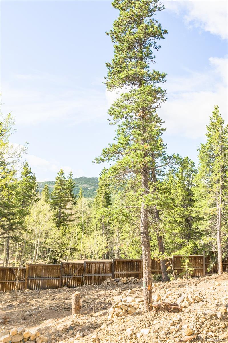 MLS Image #21 for 165  laura avenue,black hawk, Colorado