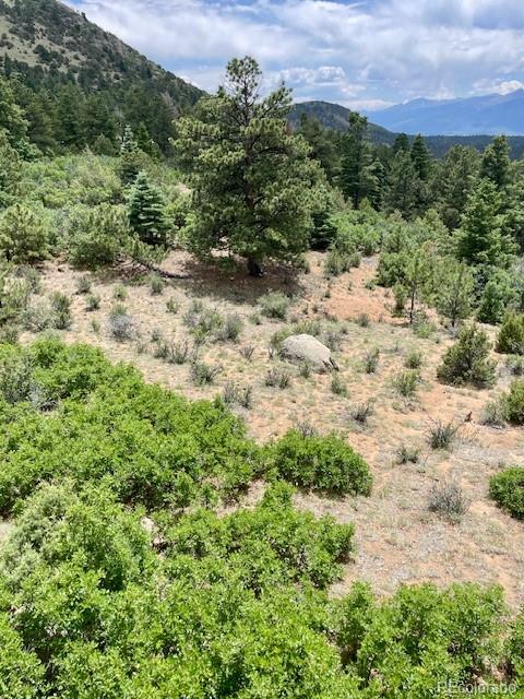 MLS Image #14 for 640  ridgeway drive,cotopaxi, Colorado