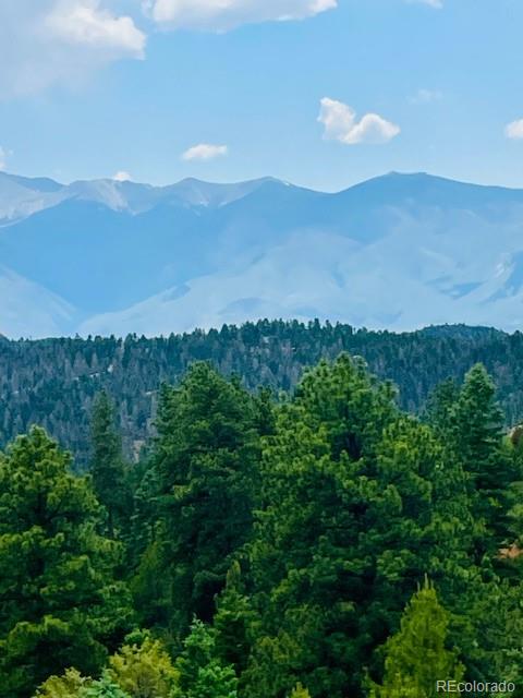 MLS Image #17 for 640  ridgeway drive,cotopaxi, Colorado