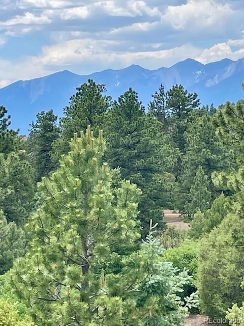 MLS Image #18 for 640  ridgeway drive,cotopaxi, Colorado
