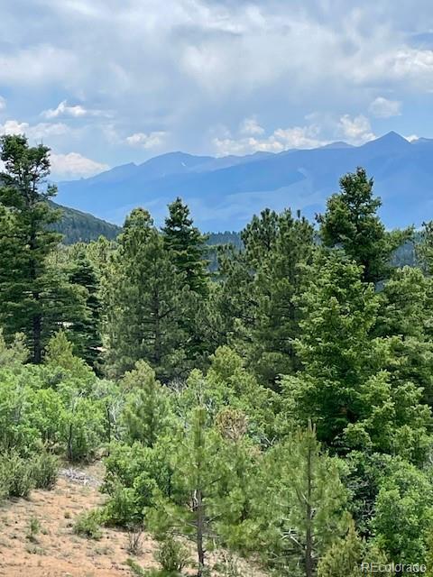 MLS Image #35 for 640  ridgeway drive,cotopaxi, Colorado