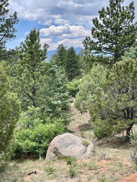 MLS Image #40 for 640  ridgeway drive,cotopaxi, Colorado