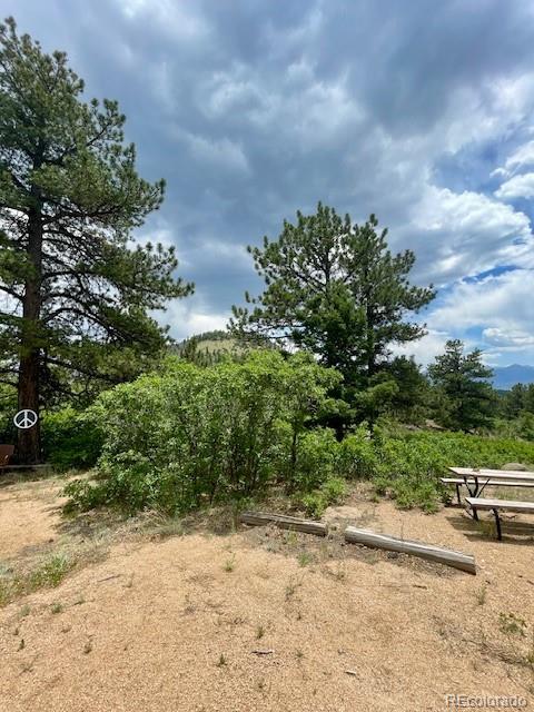 MLS Image #7 for 640  ridgeway drive,cotopaxi, Colorado