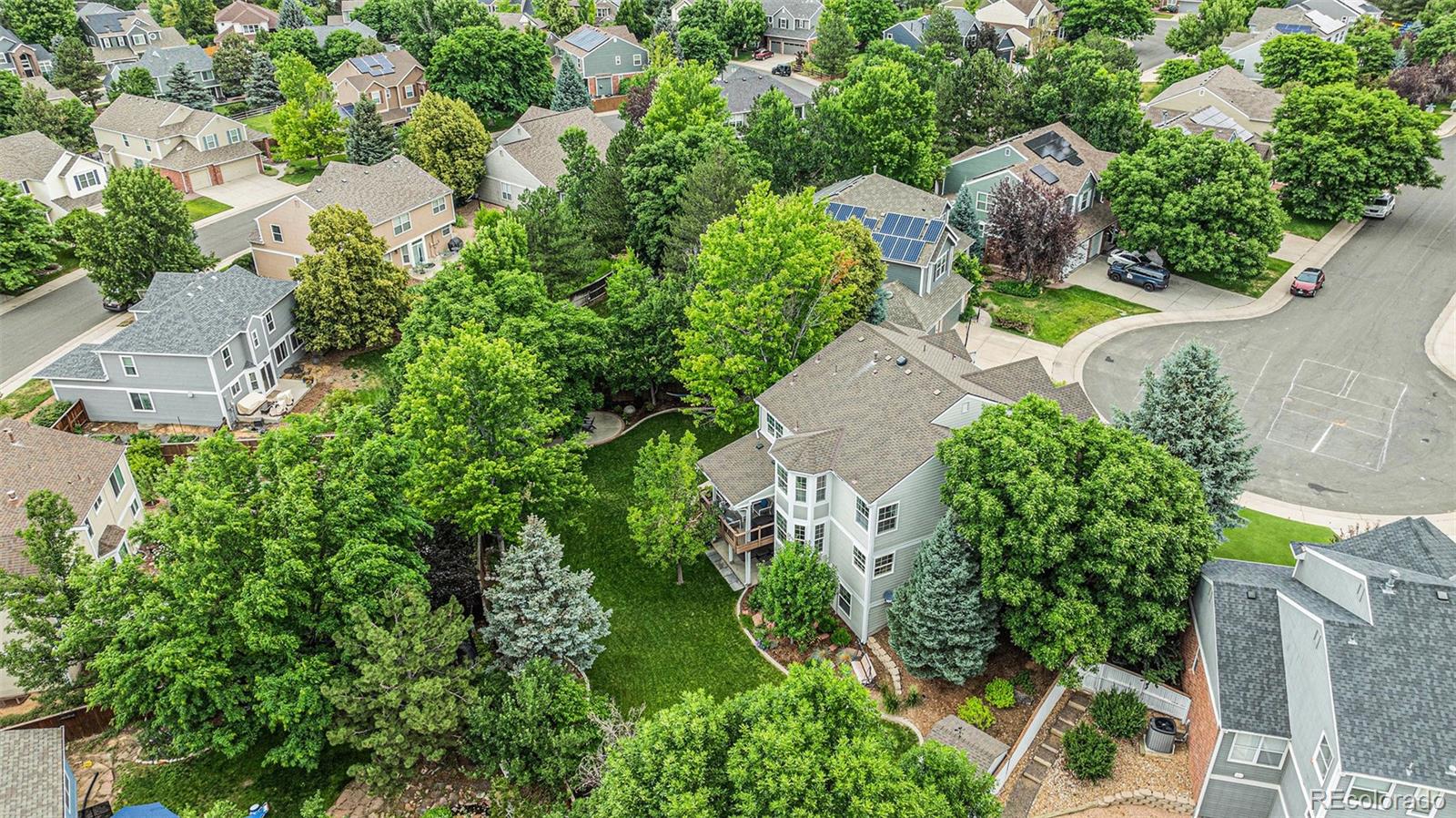 MLS Image #1 for 10197  mountain maple lane,highlands ranch, Colorado
