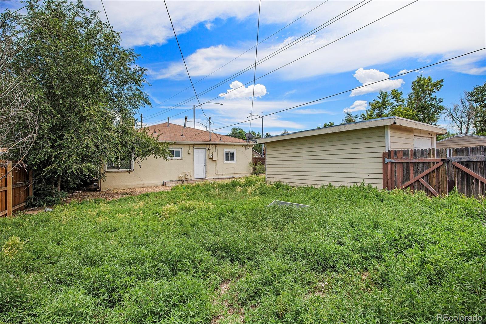 MLS Image #12 for 1303  havana street,aurora, Colorado
