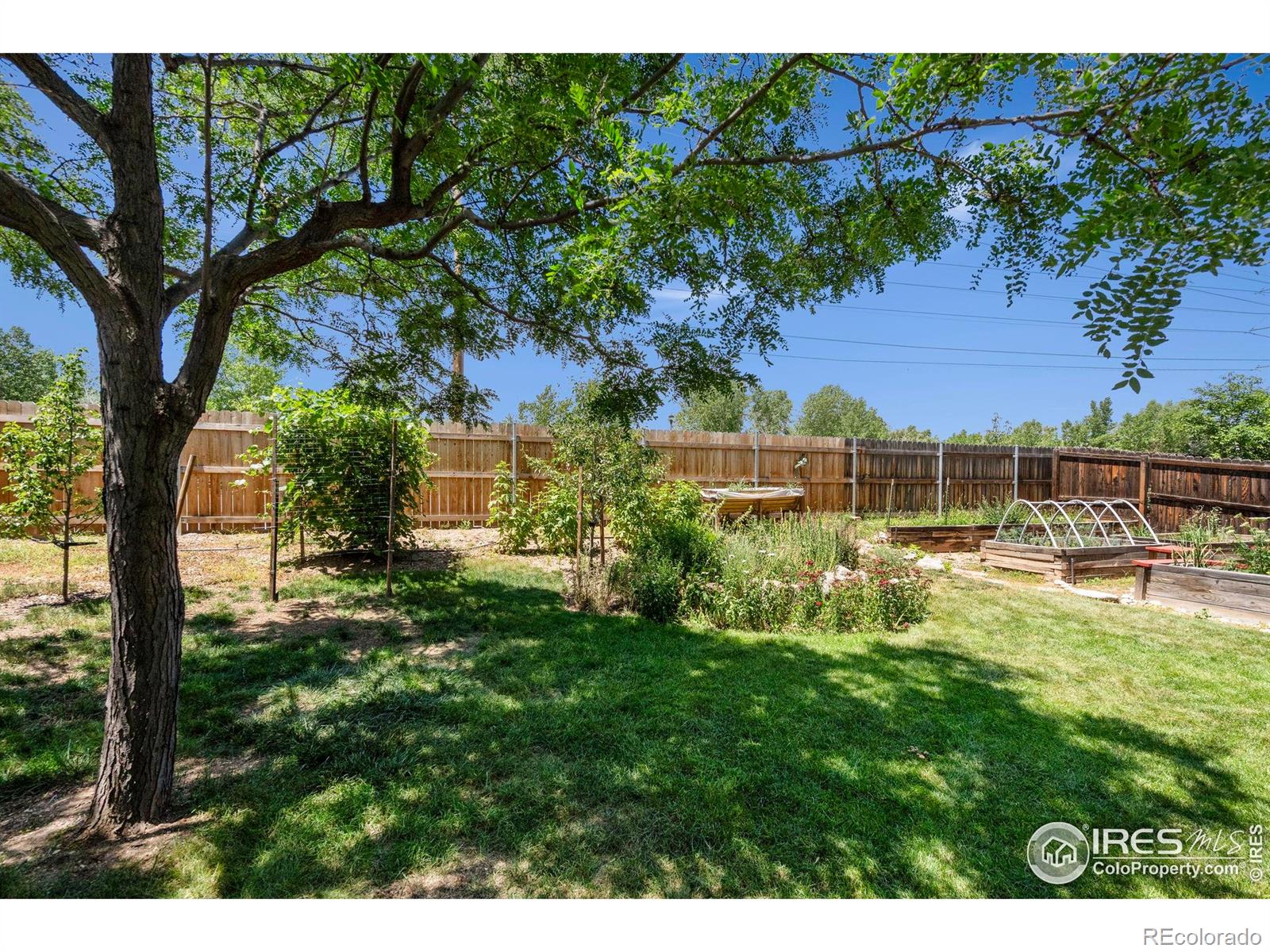 MLS Image #27 for 3055  wells fargo drive,fort collins, Colorado
