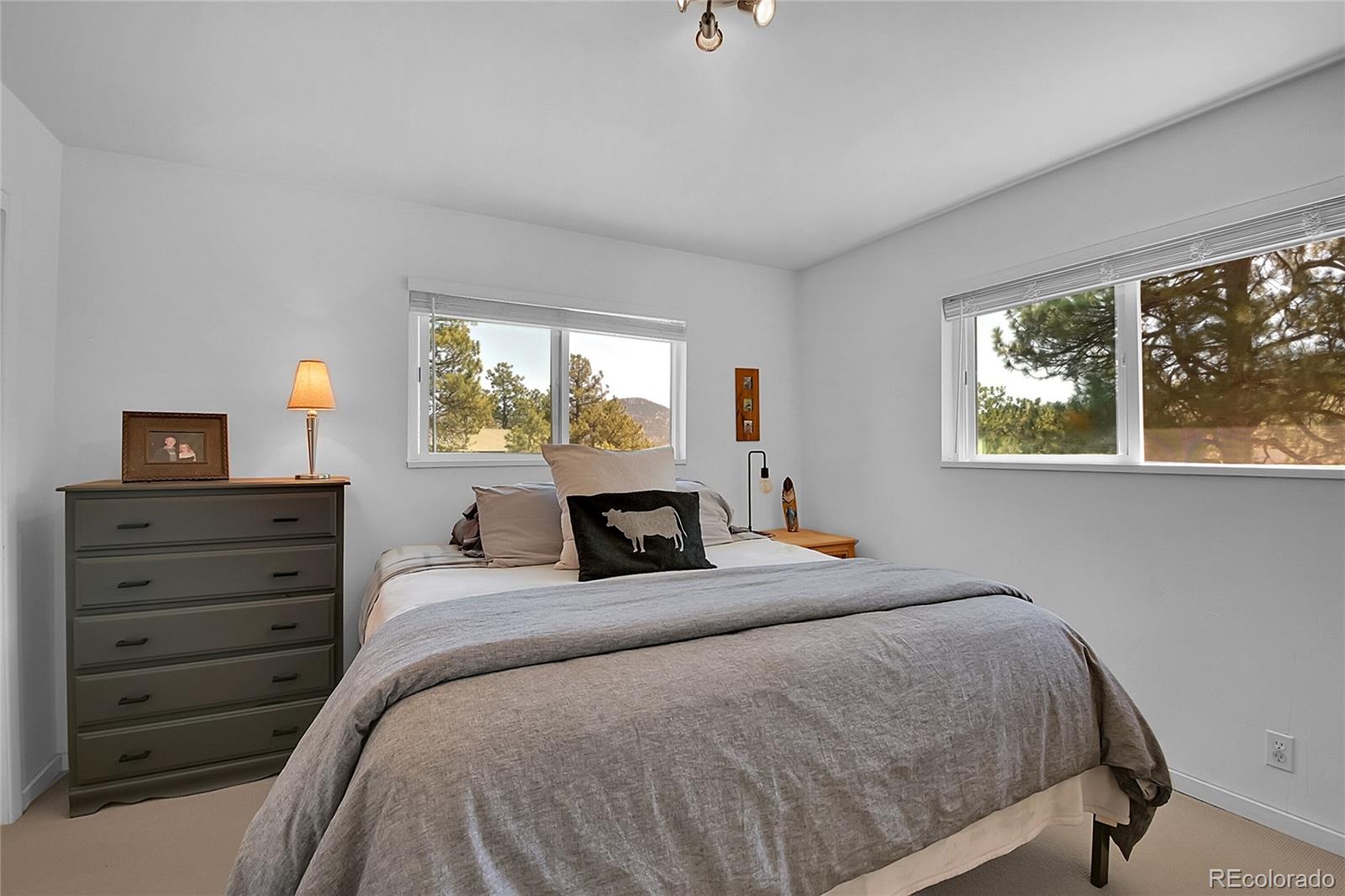 MLS Image #16 for 29858  gigi drive,evergreen, Colorado