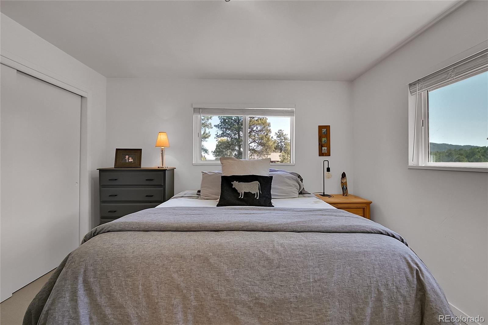 MLS Image #18 for 29858  gigi drive,evergreen, Colorado