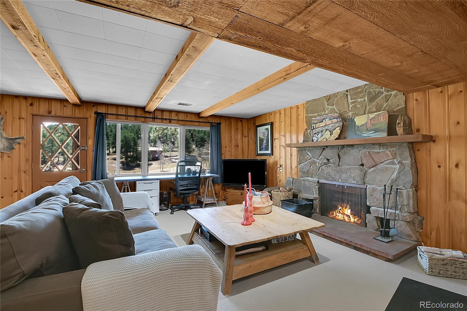 MLS Image #23 for 29858  gigi drive,evergreen, Colorado