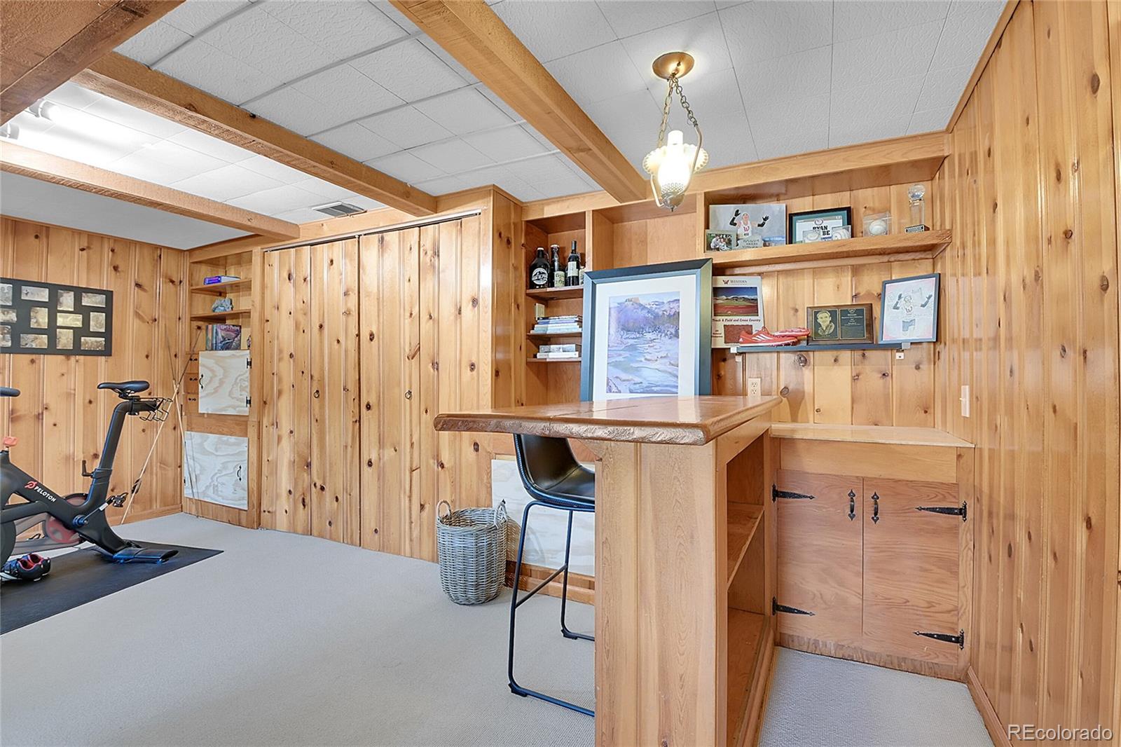 MLS Image #25 for 29858  gigi drive,evergreen, Colorado